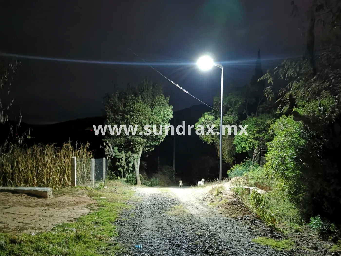 Proyecto fotovoltaico interconectado en el estado de Oaxaca